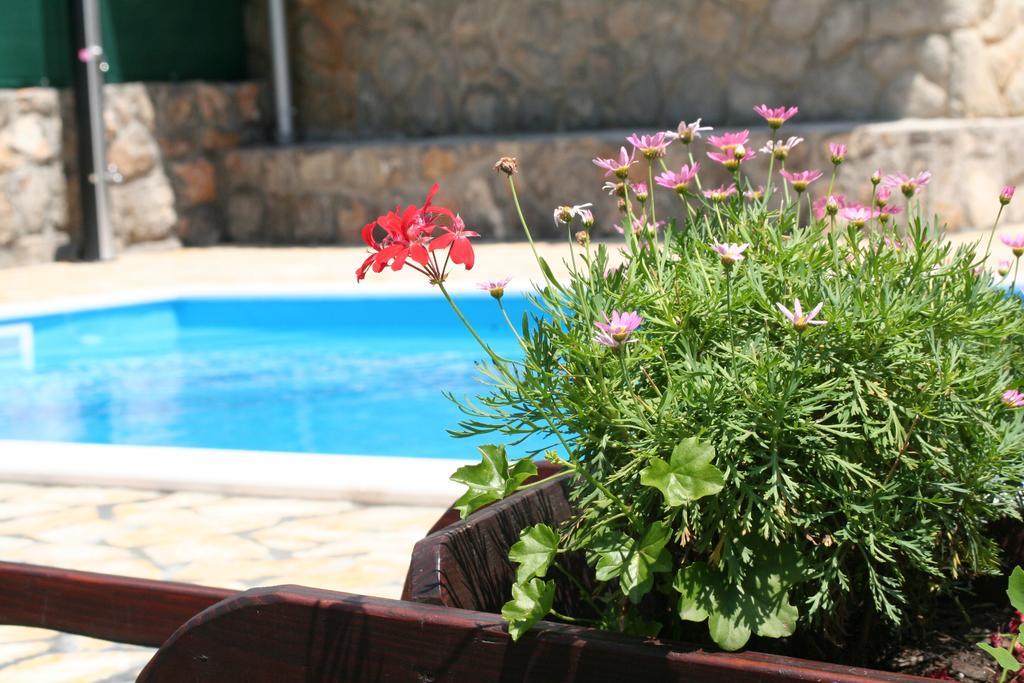 Ičići Apartments Petricic With Swimming Pool מראה חיצוני תמונה